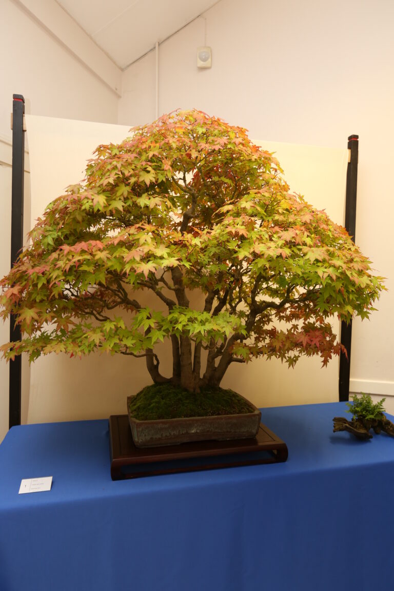 2019 – Annual Show