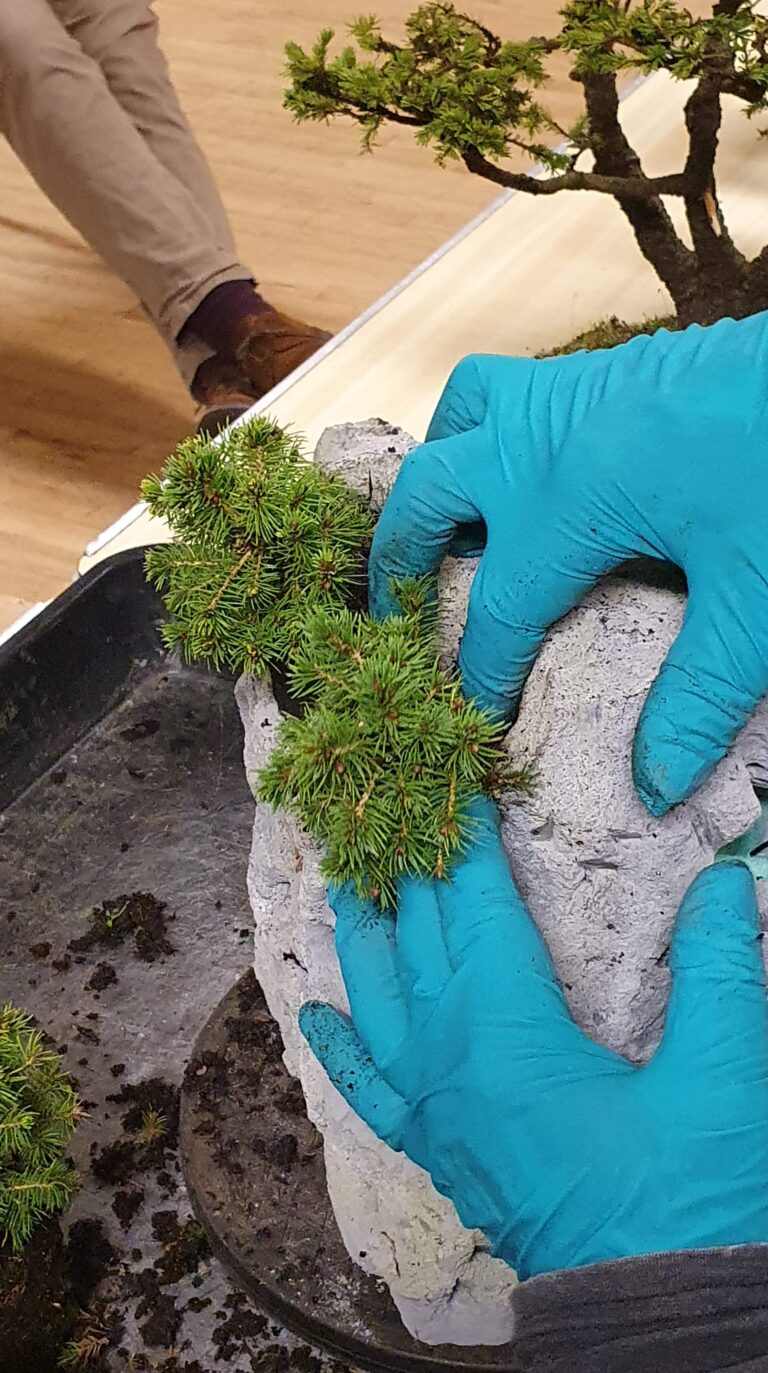 Concrete Block / Rock Planting Demo