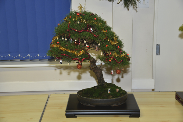 2013 – Christmas Party