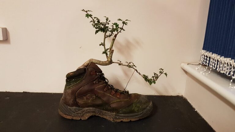 August 2018 – Annual Show