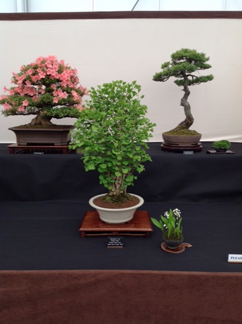 2015 Show